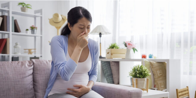 5 Cara Mencegah Mual Kehamilan